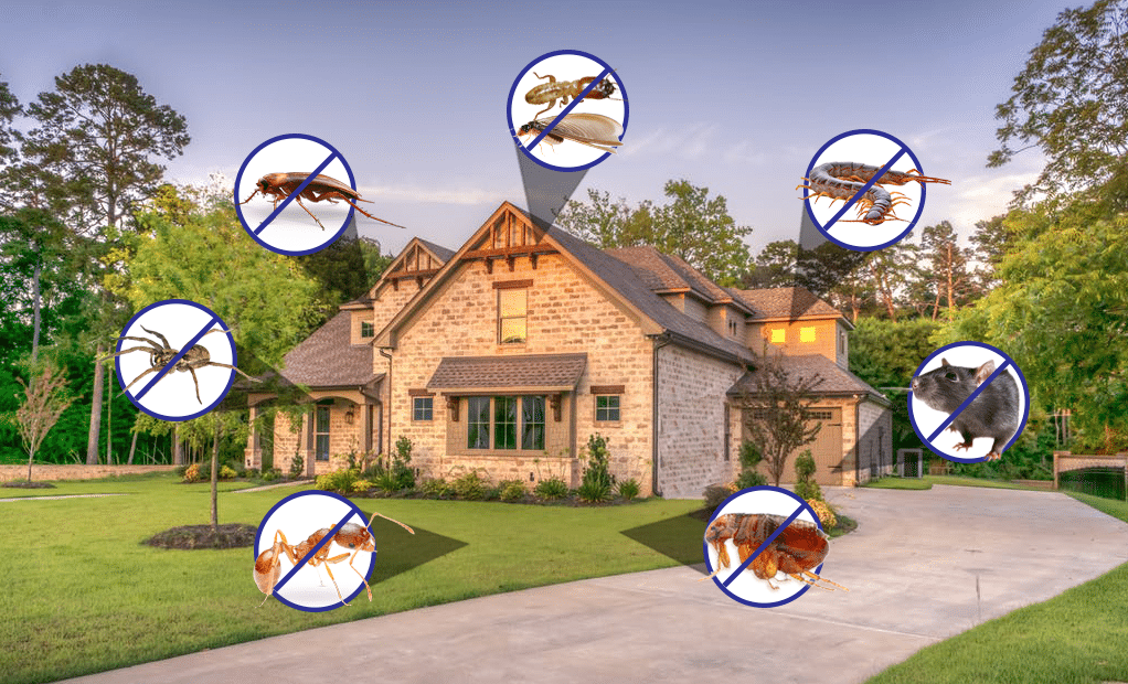 pest control