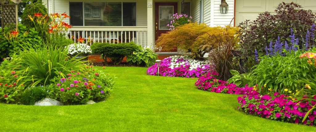 lawn