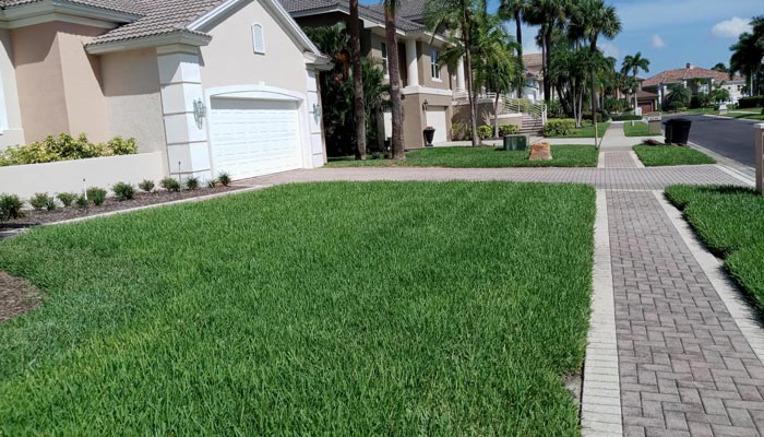 lawn treatment