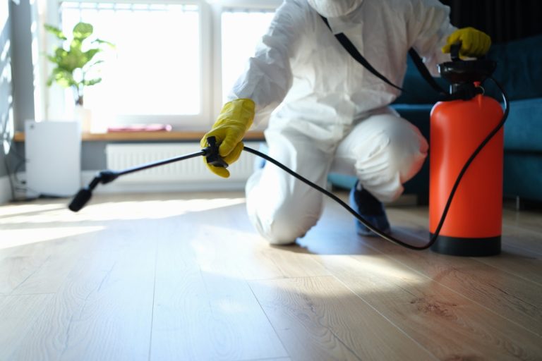 pest control with spray