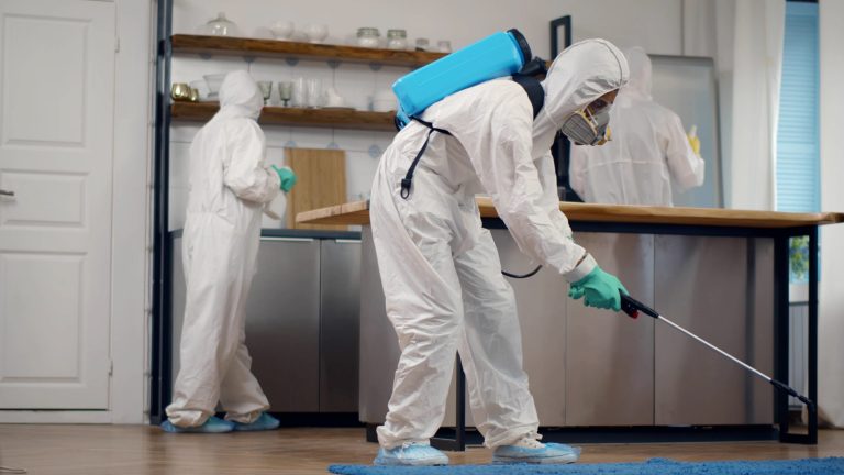 pest control inside the house